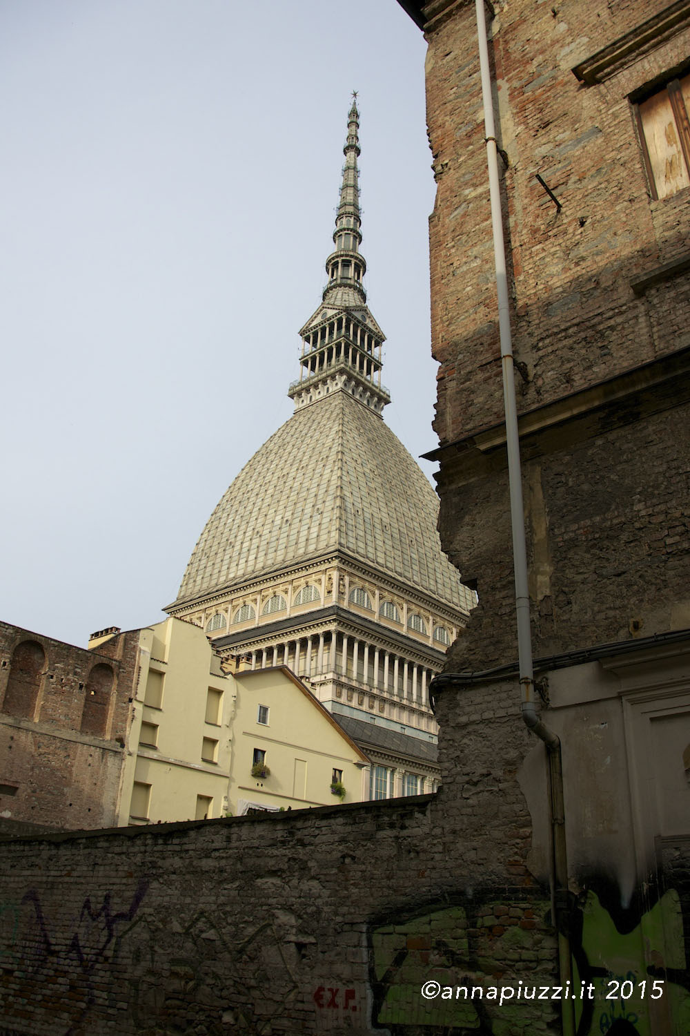 Uno scorcio di Mole antonelliana