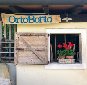 OrtoBorto.