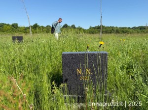 Cimitero di Bijeljina